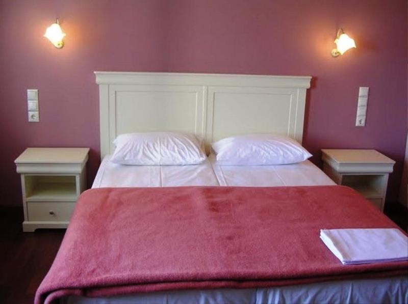 Hotel Monodendri Room photo