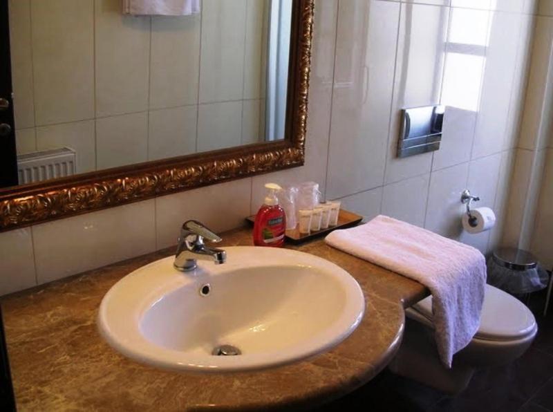 Hotel Monodendri Room photo
