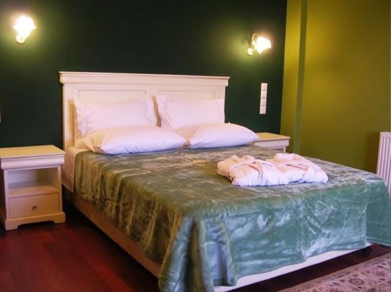 Hotel Monodendri Room photo